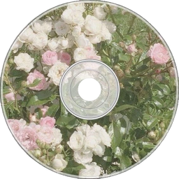 Girar CD